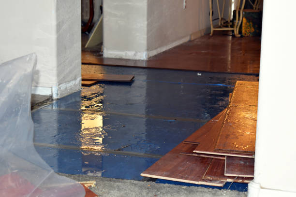 Professional Basement Flood Cleanup technician working in Acton, ME